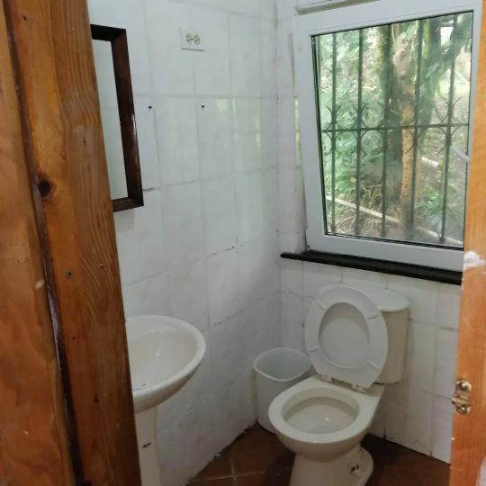 Cabañas casa victoria Bajo Bajo Boquete Exterior foto